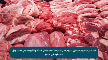 أسعار اللحوم البلدي اليوم الأربعاء 20 أغسطس 2025 وتأثيرها على الأسواق المحلية في مصر